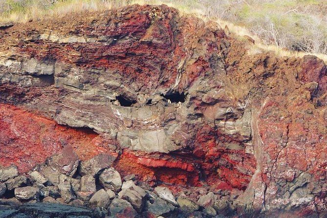 Big Island Historical Dinner Cruise to Kealakekua Bay - Live music and the ride back to Kona