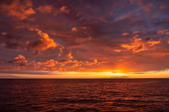 Big Island Historical Dinner Cruise to Kealakekua Bay - Who will enjoy this Kona evening