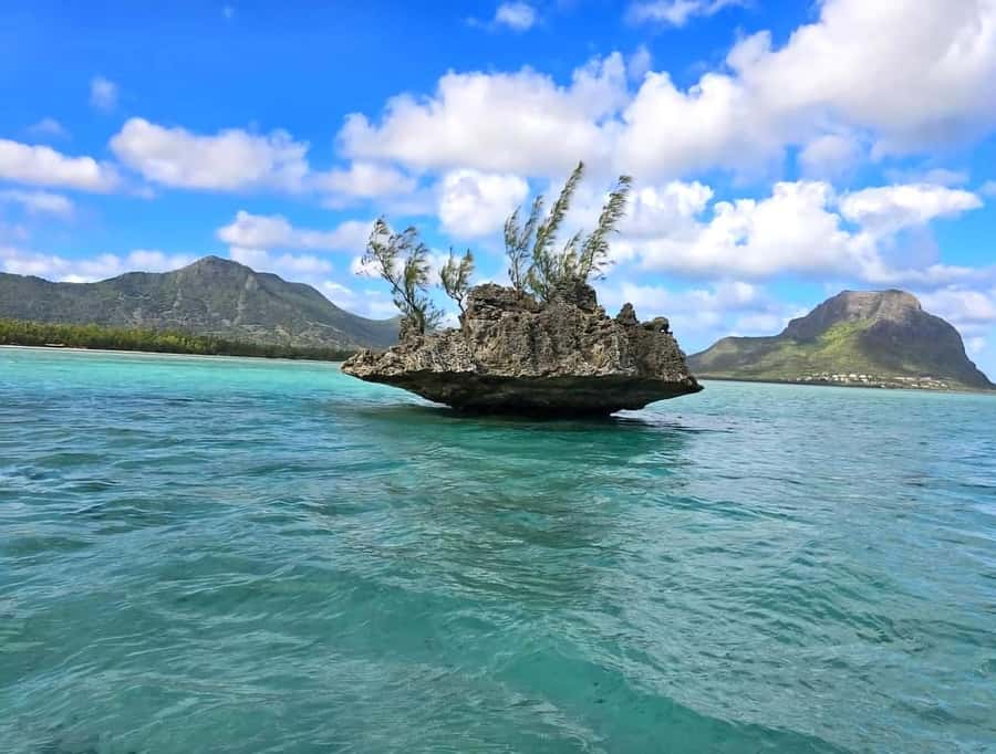 Black River: Swim with Dolphin Speed Boat Tour with lunch - A fast start from Flic en Flac