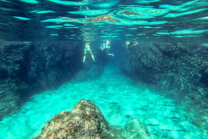 Blue Cave, Green Cave & Lopud Beach small group Speed boat Tour - What comes with the $84.65 price