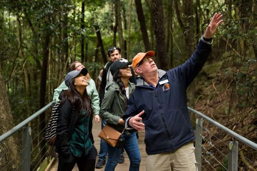 Blue Mountain: Small-Group Tour with Lunch & Scenic World - Starting early from Sydney