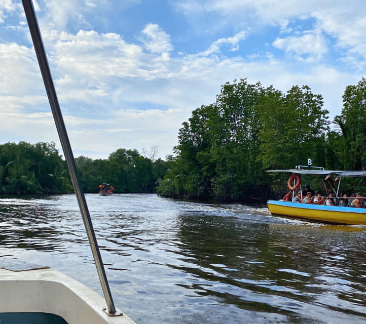 Bongawan River Cruise: Proboscis Monkey & Fireflies Mangrove - The Sky Mirror at sunset