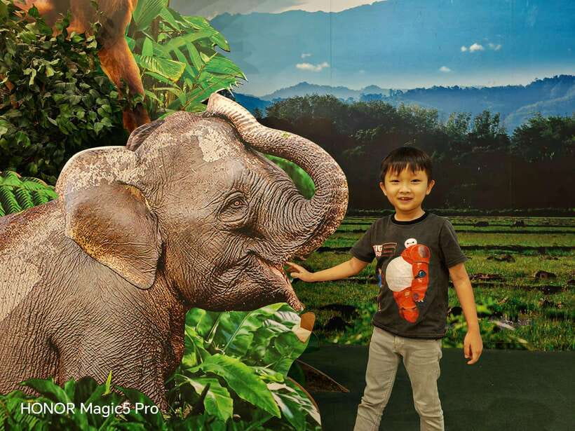 Bongawan River Cruise: Proboscis Monkey & Fireflies Mangrove - Who should book this Sabah outing