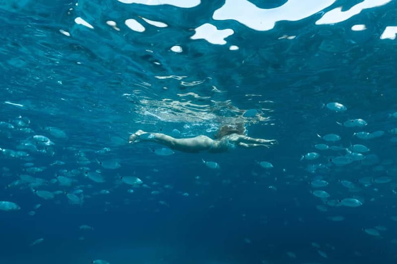 Bonifacio: Catamaran trip with snorkeling at the Lavezzi Islands - Who should book this trip?