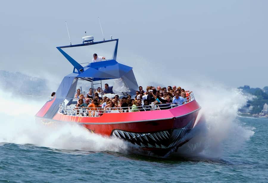 Boston: City Cruises Harbor Codzilla High Speed Thrill Boat - Music, narration, and crew energy shape the ride