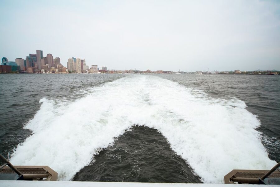 Boston: City Cruises Whale Watching Cruise - From Boston Long Wharf to open water