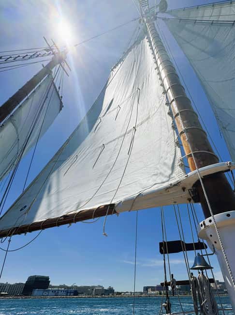 Boston: Tall Ship Harbor Sail - Boston’s skyline from the water