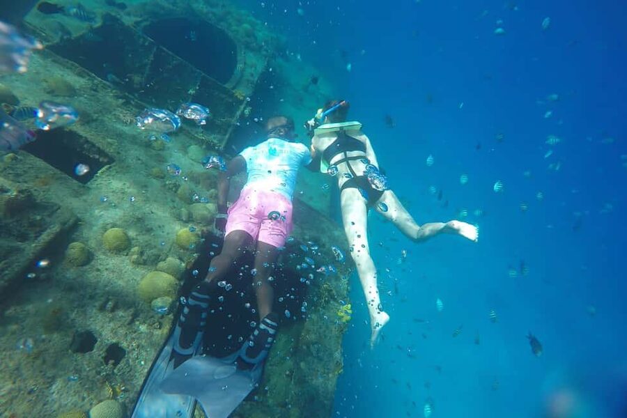 Bridgetown: Carlisle Bay Turtle and Shipwreck Boat Cruise - The glass-bottom ride starts the wildlife search