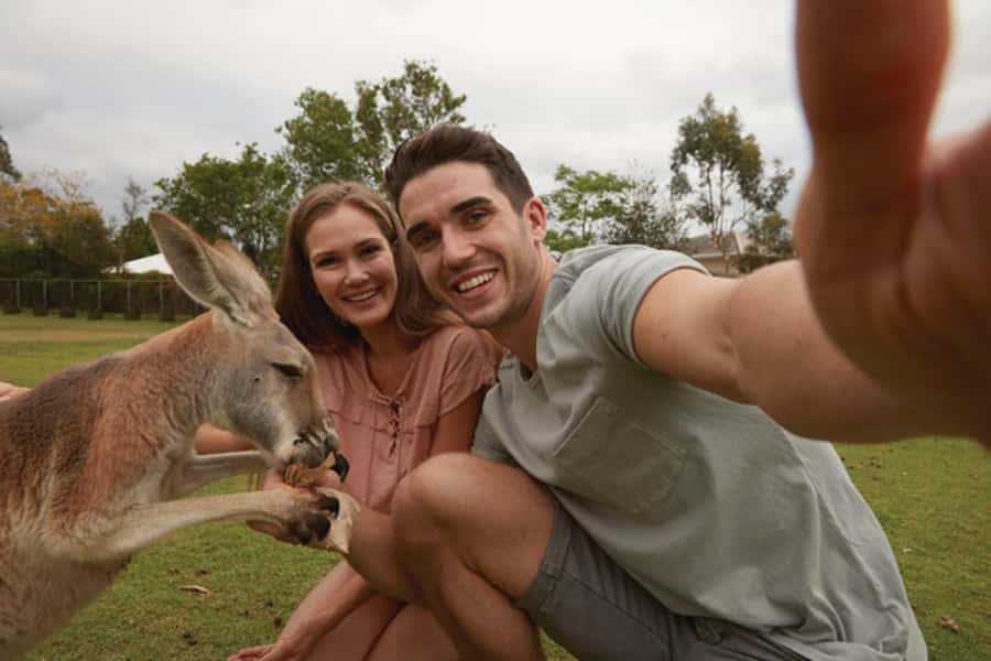 Brisbane River Cruise and Koala Sanctuary Visit - What the 75-minute Brisbane River cruise adds