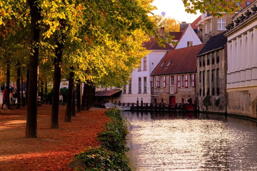 Bruges: Guided Tour & Boat Ride with Optional Beer Tasting - Why this is a smart first look at Bruges