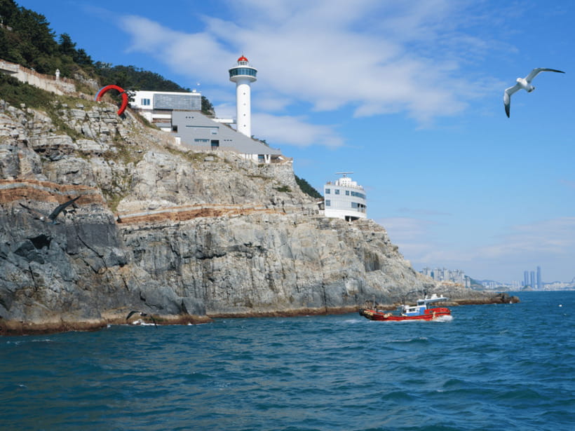 Busan: City Tour Shore Excursion for Cruise Guests - Transport, group size, and guide quality