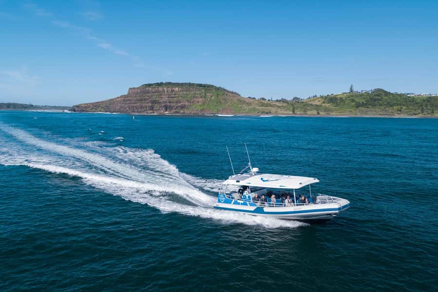 Byron Bay: Whale Watching Cruise with a Marine Biologist - Why the marine biologist matters