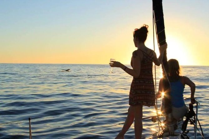 Cabo San Lucas Sunset Sailing Shared Cruise - Sailing, motoring, and the feel of the water