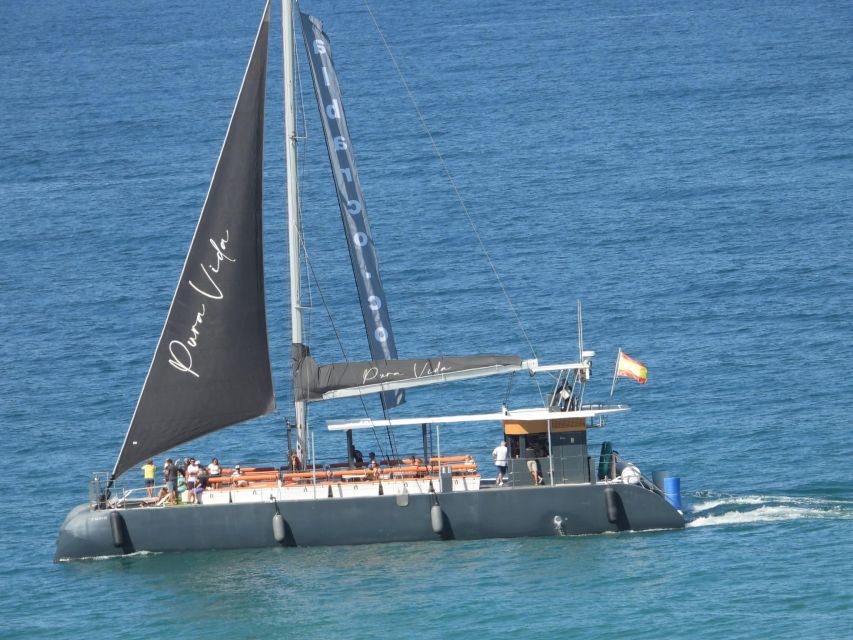 Cádiz: Bay of Cádiz Catamaran Tour with Host - What this Cádiz cruise is really like