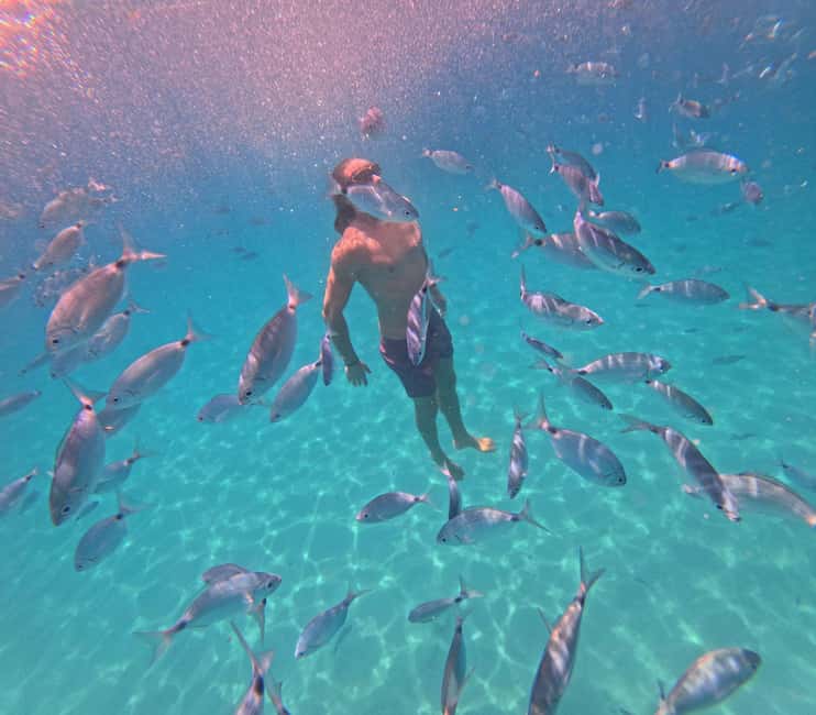 Cagliari: Boat Tour, 4 Stops, Swim, Snorkeling, & 1 Spritz - Poetto Beach and the return cruise