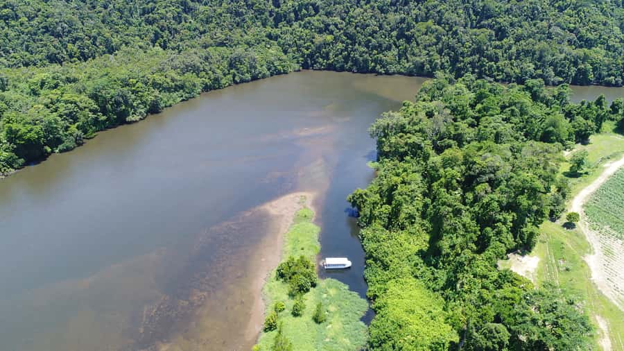 Cairns: Daintree Rainforest Wildlife Experience Cruise - Key points to know before you book