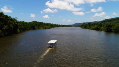 Daintree Rainforest Wildlife Experience Cruise