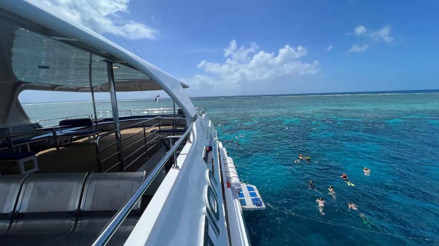 Cairns: Great Barrier Reef Cruise & Scenic Helicopter Flight - What the reef time is really like