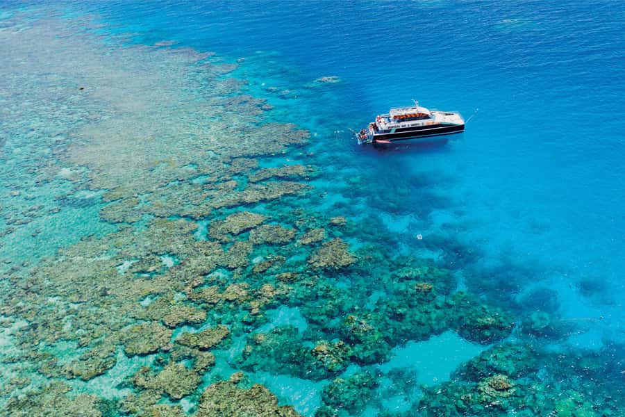 Cairns: Great Barrier Reef Premium Diving Full Day Tour - What the day feels like from Cairns Marlin Marina