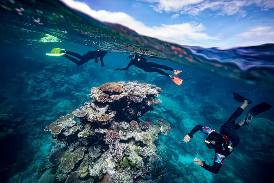 Cairns: Great Barrier Reef Premium Diving Full Day Tour - Indigenous stories that give the reef a human meaning
