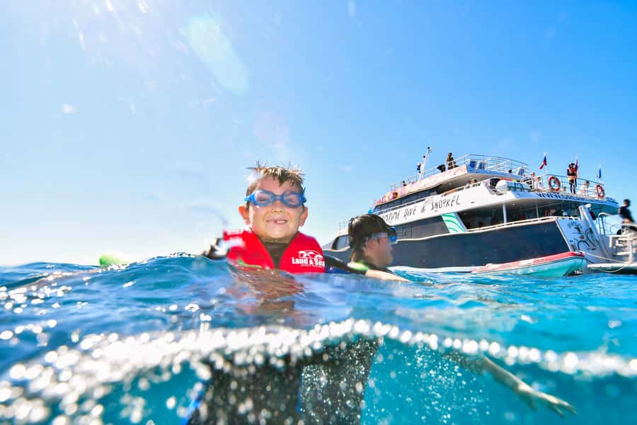 Cairns: Great Barrier Reef Premium Diving Full Day Tour - Is $127 good value for a full reef day?