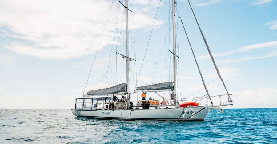 Cairns: Green Island & Great Barrier Reef Sailing Tour - Lunch with smoked salmon, prawns, and plenty of choice