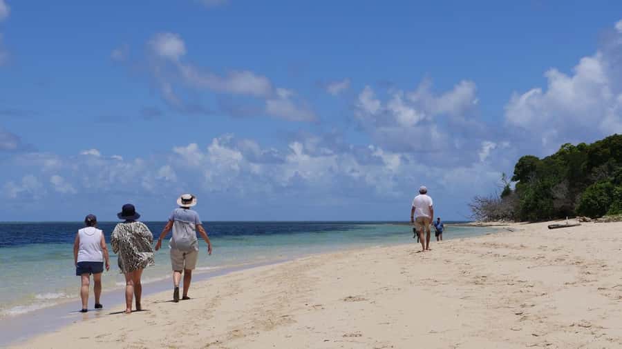 Cairns: Green Island & Great Barrier Reef Sailing Tour - Who will enjoy this day most