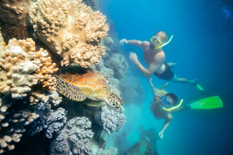 Cairns: Green Island Snorkelling or Glass Bottom Boat - Key points to know before you book