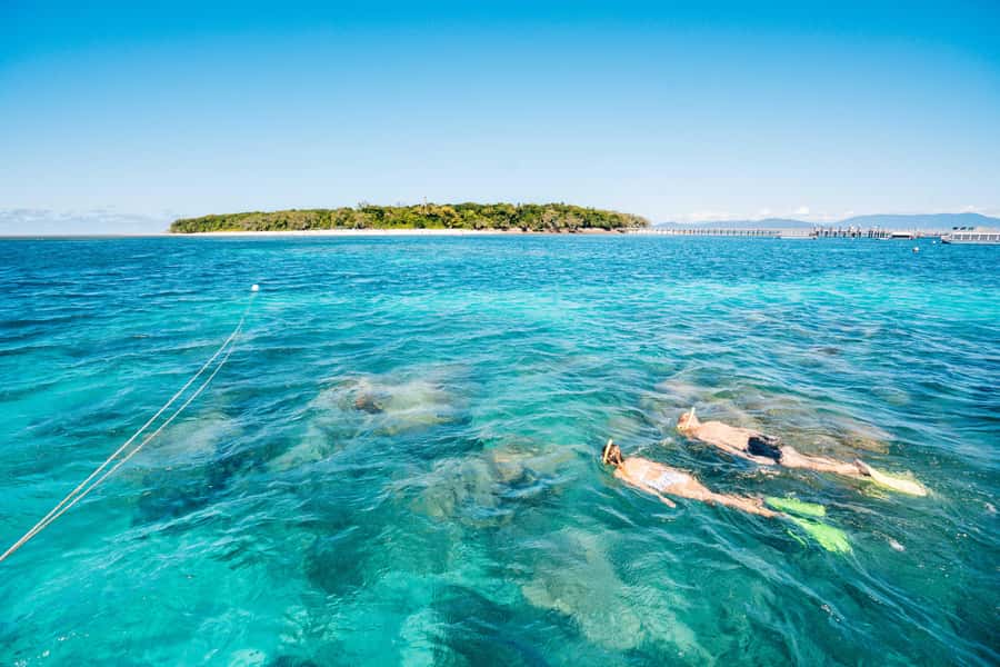 Cairns: Green Island Snorkelling or Glass Bottom Boat - Sailing from Cairns to a coral cay