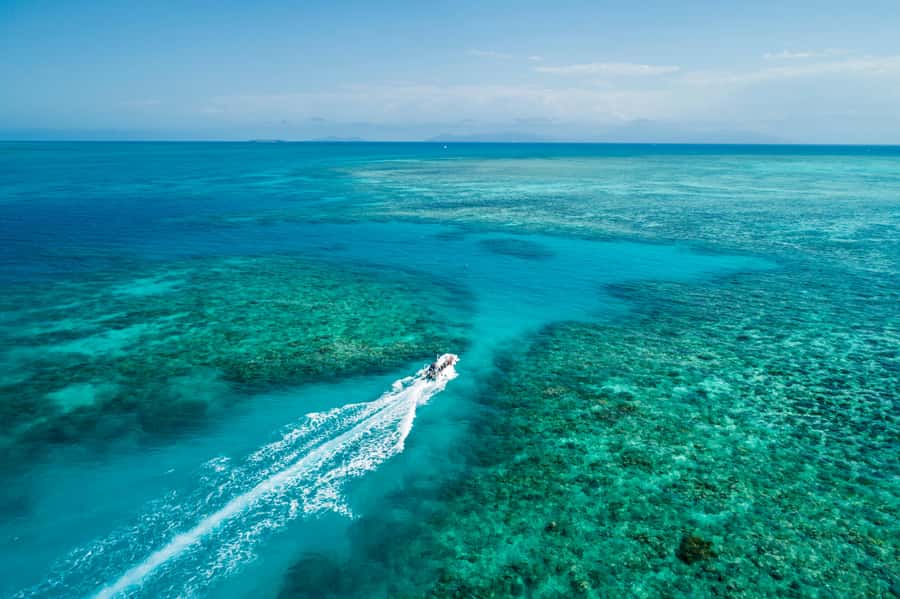 Cairns: Outer and Coral Cay Snorkel and Dive Cruise - Key points to know before you book