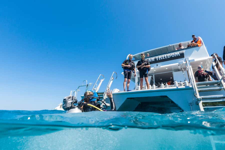 Cairns: Outer and Coral Cay Snorkel and Dive Cruise - Equipment, comfort, and practical limits