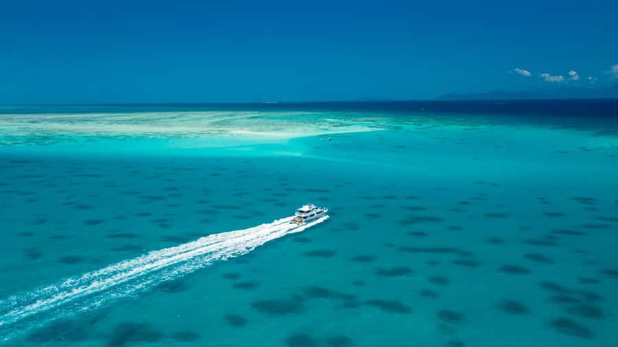 Cairns: Outer and Coral Cay Snorkel and Dive Cruise - Who will get the most from this Cairns reef trip?