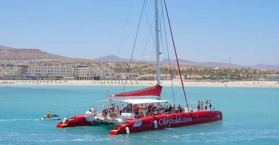 Caleta de Fuste: Catamaran Sailing Experience - Key points to know before you book