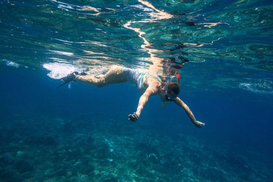 Caleta de Fuste: Catamaran Sailing Experience - The coastal route toward Pozo Negro Bay