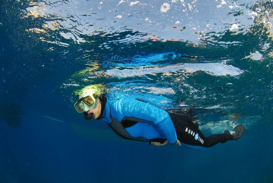 Calvi: Pointe de la Revellata Snorkeling Boat Tour - A practical plan for the day