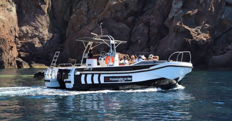 Calvi to Scandola: 4-Hour Boat Tour - Key points to know before you book