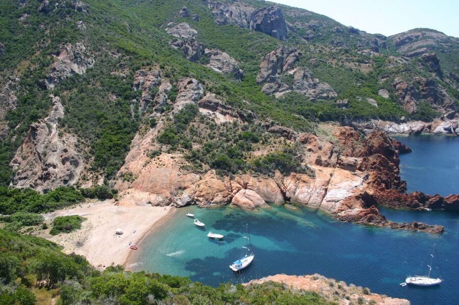 Calvi to Scandola: 4-Hour Boat Tour - Why the small Santa Regina boat changes the trip
