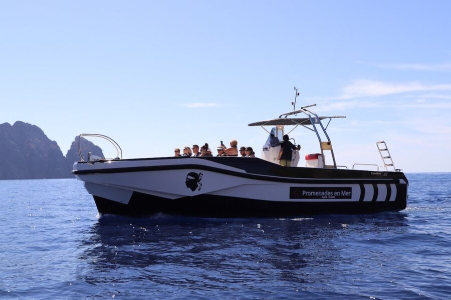 Calvi to Scandola: 4-Hour Boat Tour - The swimming stop and why it matters