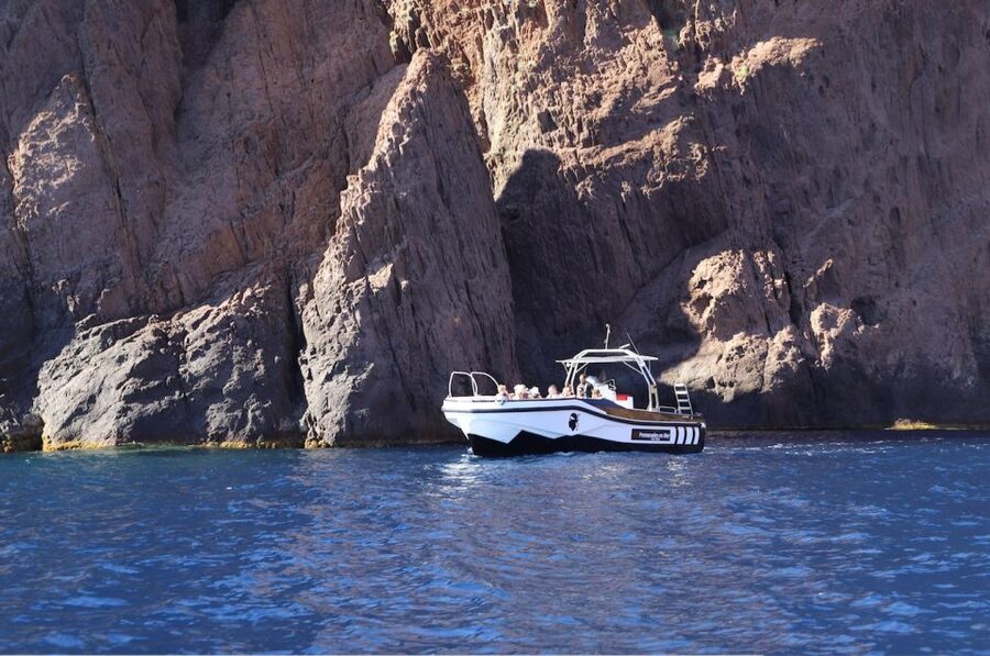 Calvi to Scandola: 4-Hour Boat Tour - Who should book this Calvi boat tour?