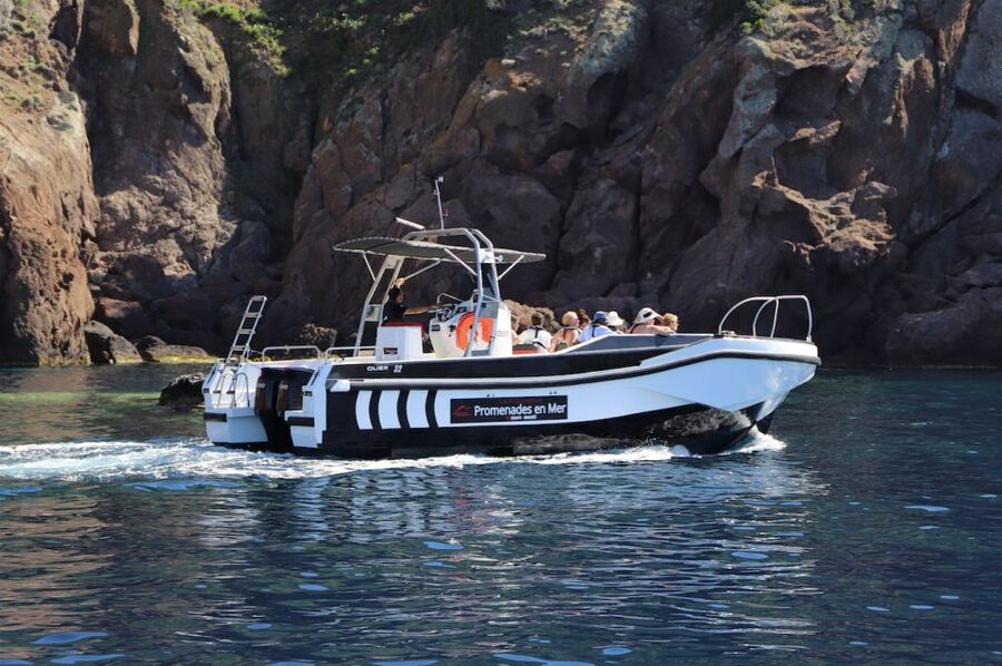 Calvi to Scandola: 4-Hour Boat Tour - Should you book the Scandola trip from Calvi?