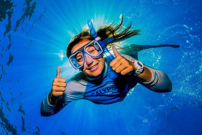 Calypso Outer Great Barrier Reef Cruise from Port Douglas - Agincourt and Opal Reef: what the stops offer