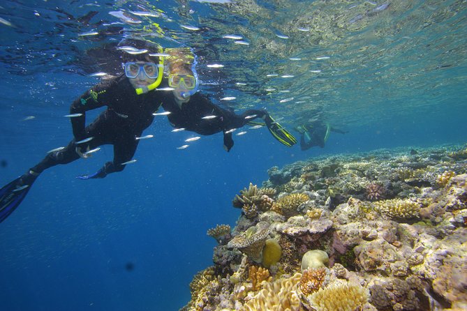 Calypso Outer Great Barrier Reef Cruise from Port Douglas - A boat built for a full day offshore