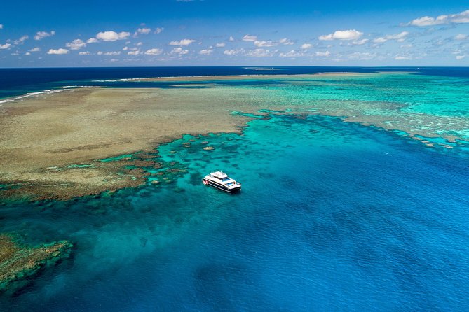 Calypso Outer Great Barrier Reef Cruise from Port Douglas - Lunch and refreshments keep the schedule moving