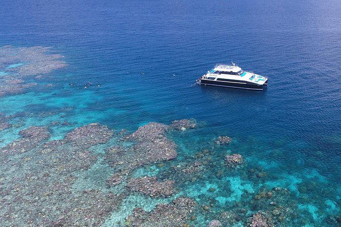 Calypso Outer Great Barrier Reef Cruise from Port Douglas - Snorkeling time is the heart of the day