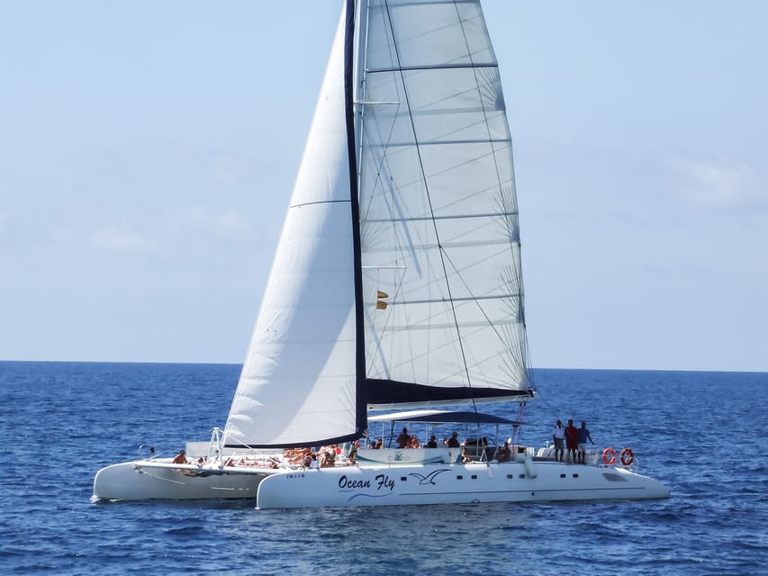 Cambrils: Costa Daurada Sail Catamaran Cruise - Practical timing and choosing your departure