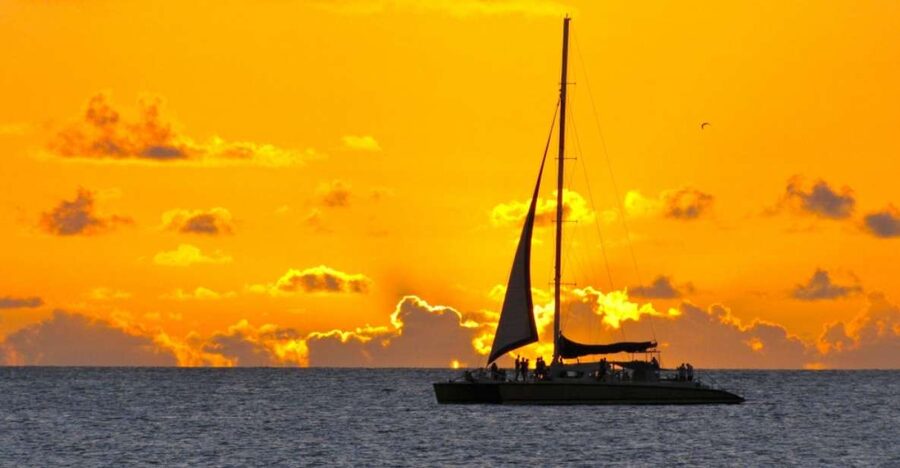 Cambrils: Costa Dorada Sunset Catamaran Cruise with Drinks - The swim stop at a quiet inlet