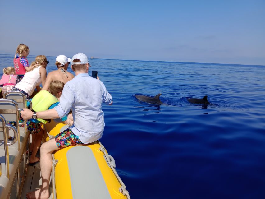 Can Picafort: Dolphin Watching Boat Tour, Swimming stop - Views toward Cap de Formentor
