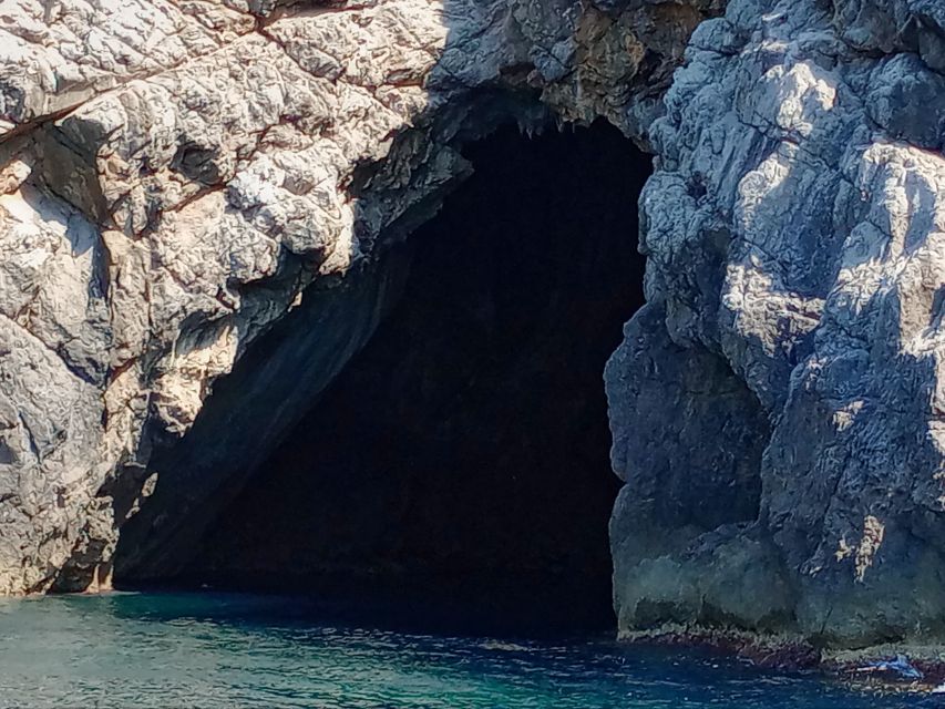 Can Picafort: Dolphin Watching Boat Tour, Swimming stop - A small group makes a real difference