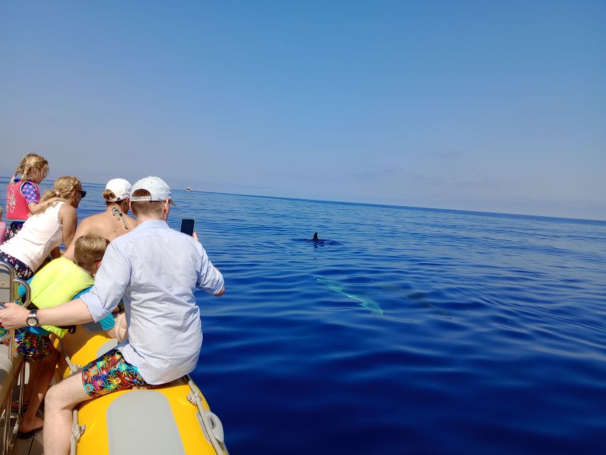 Can Picafort: Dolphin Watching Boat Tour, Swimming stop - Who will enjoy this Can Picafort boat trip?