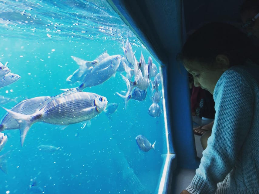 Cap Norfeu: Costa Brava Catamaran Trip with Underwater Views - Who will enjoy this cruise most